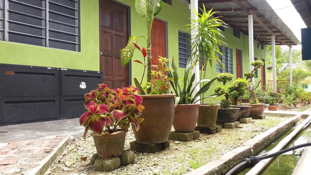 באטו פרינג'י Tony'S Guesthouse At Teluk Bahang מראה חיצוני תמונה